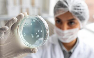 La legionella