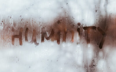 L’umidità